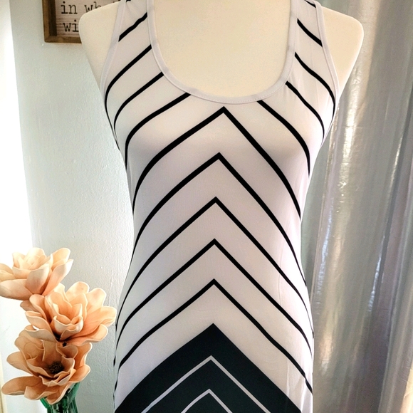 🌺HP🌺 🦓 Maxi Halter Dress - Picture 2 of 5